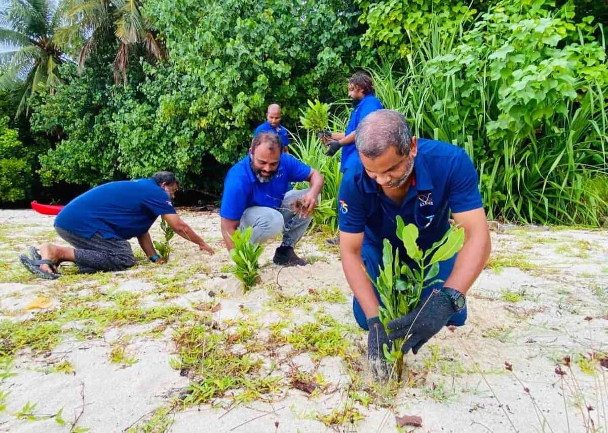 ސްޓެލްކޯއިން ޚާއްސަ ޙަރަކާތްތަކާއިއެކު ގަސް އިންދުމުގެ މަސައްކަތް ބާރު ސްޕީޑްގައި ކުރިއަށް!